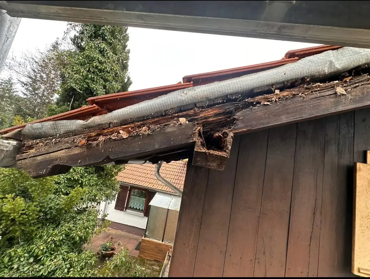 Verfaulter Dachsparren am Ortgang vor der Sanierung