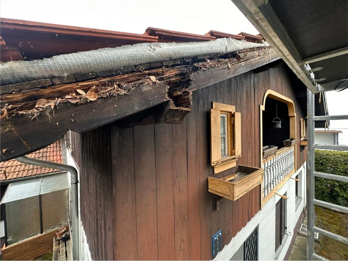 Nahaufnahme des morschen Dachsparrens mit Schädigung durch Fäulnis