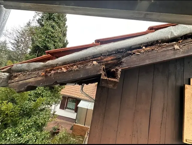 Verfaulter Dachsparren vor der Sanierung